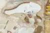 stone-garden-3cs4